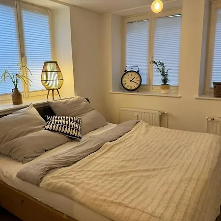 Apartmán In Bester Lage Schwerin (Mecklenburg-Vorpommern)