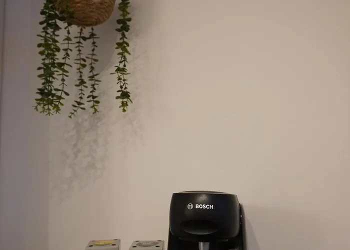 In Bester Lage 아파트 *